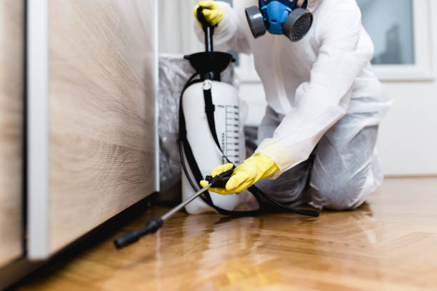 Best Local Pest Control Services  in Greens Farms, CT