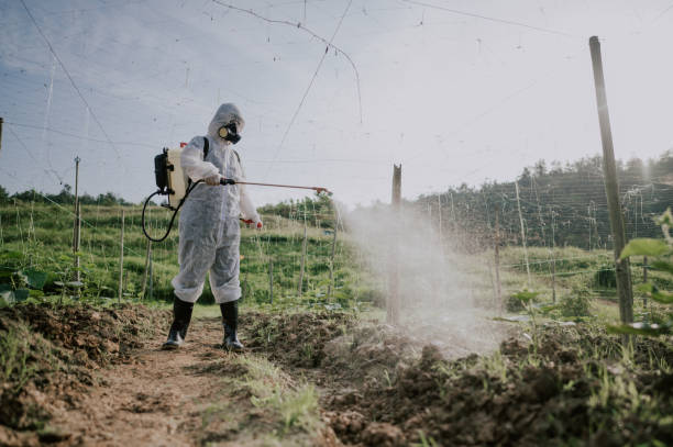 Best Wildlife Control Services  in Greens Farms, CT
