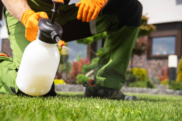 Best Insect Control  in Greens Farms, CT