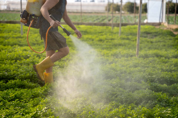 Best Cockroach Control Services  in Greens Farms, CT