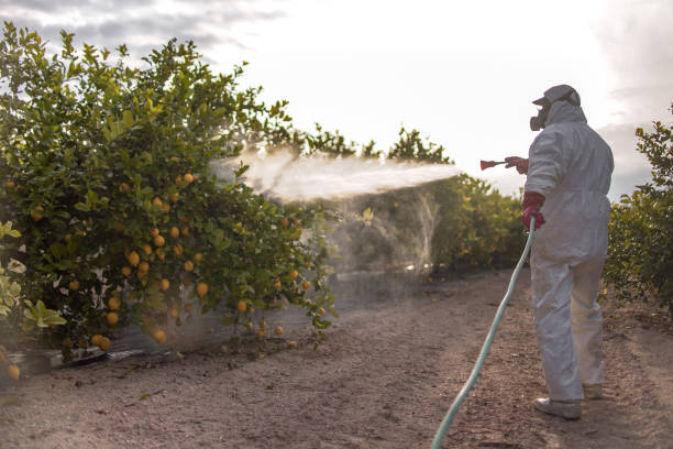 Best Affordable Pest Control Services  in Greens Farms, CT